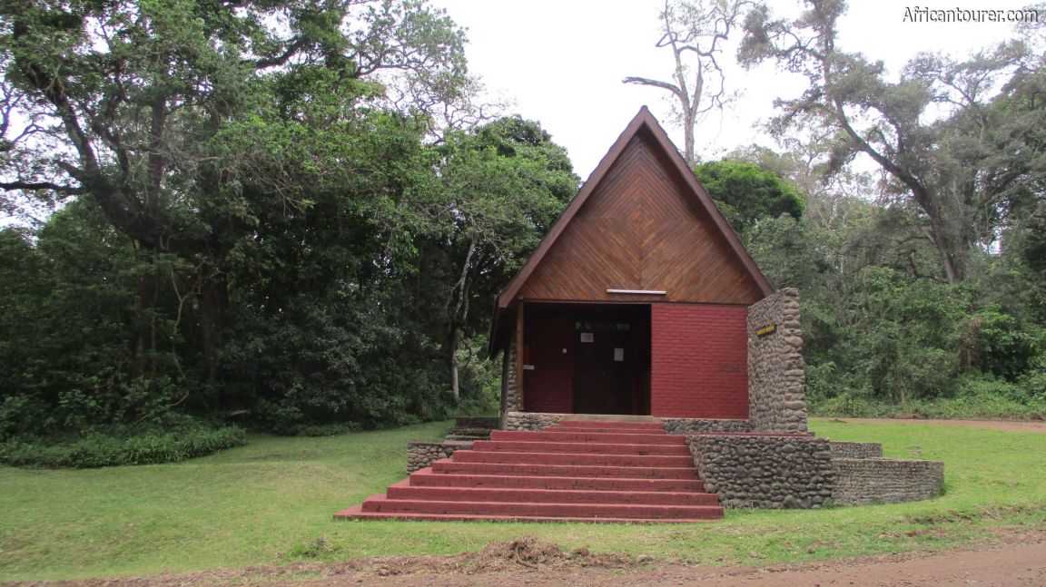 Tanzania safaris