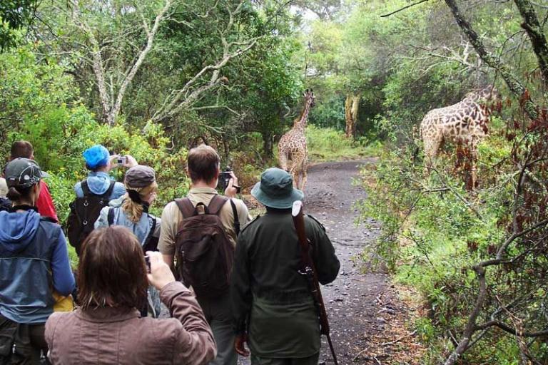 Tanzania safaris