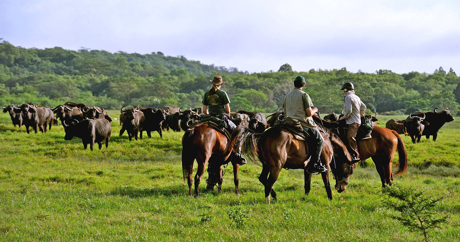 Tanzania safaris