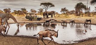 4 days Serengeti and Ngorongoro wildlife safari from Zanzibar