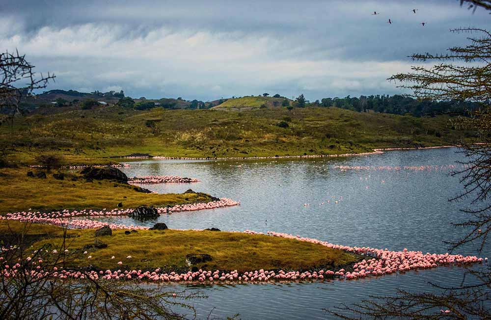 National parks found near Arusha