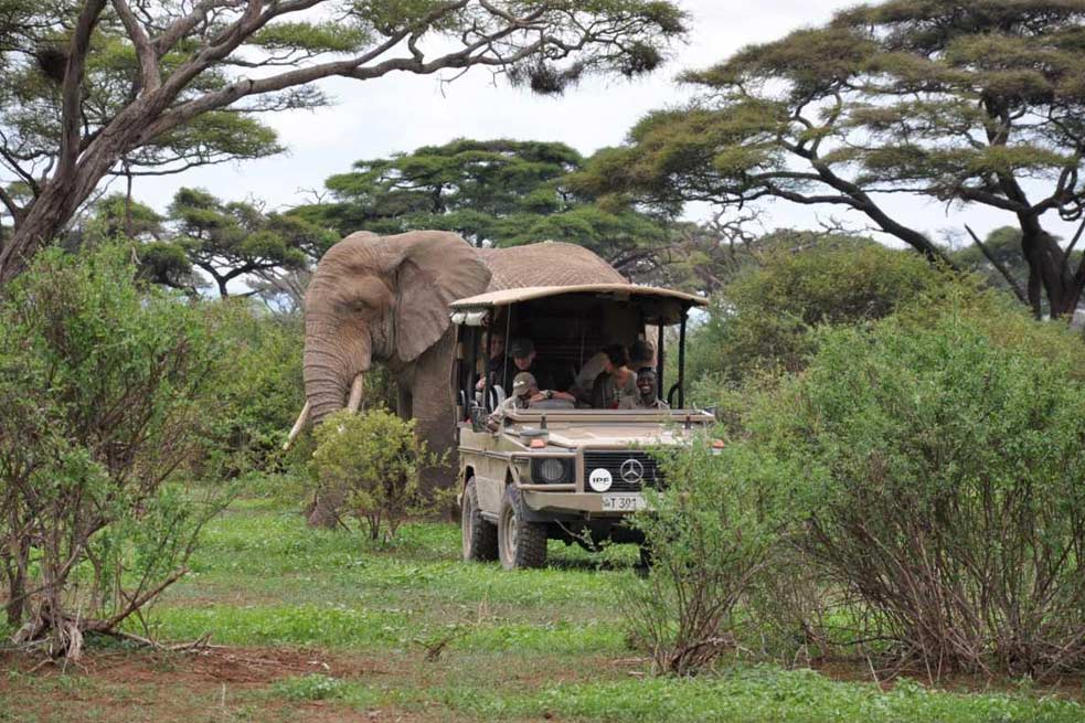 Tanzania safaris