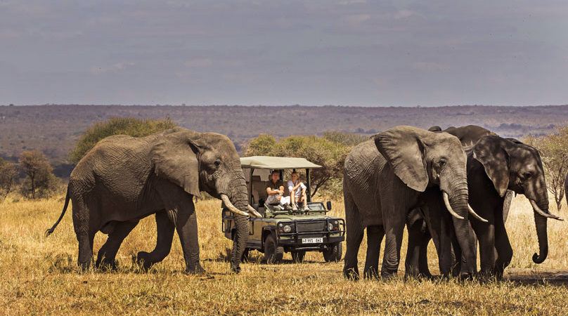 The Areas In The Lake Manyara National Park