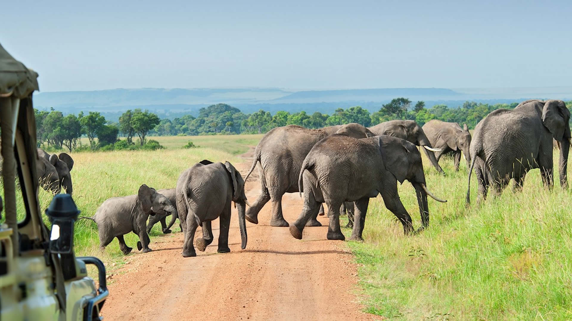 3 days Nyerere National Park safari