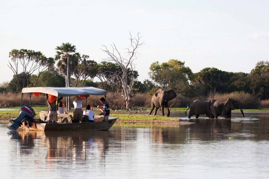 7 Days Tanzania Southern Safari Circuit