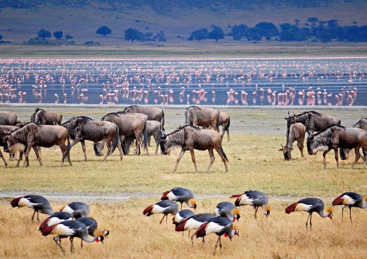 National parks found near Arusha