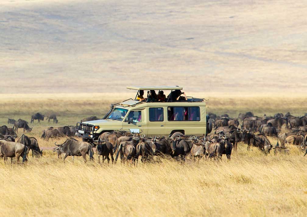 4 Serengeti National Park Activities