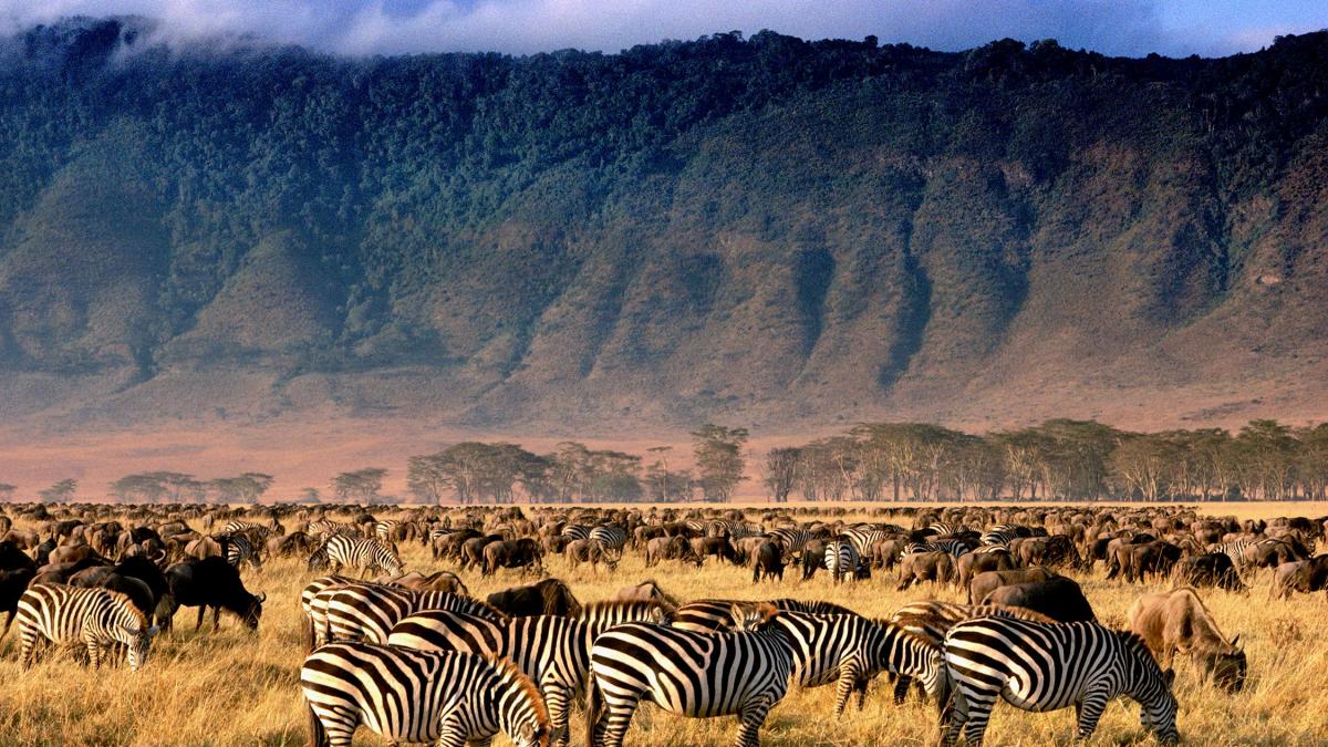 4 days Serengeti and Ngorongoro wildlife safari from Zanzibar