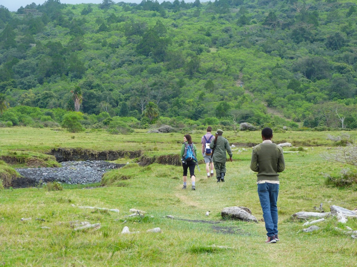 Arusha National Park Walking Safari