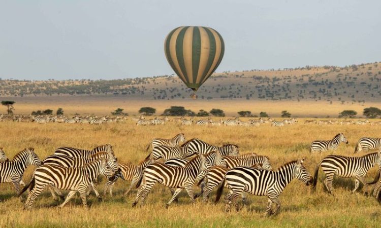 Hot Air Balloon Safari In Tanzania