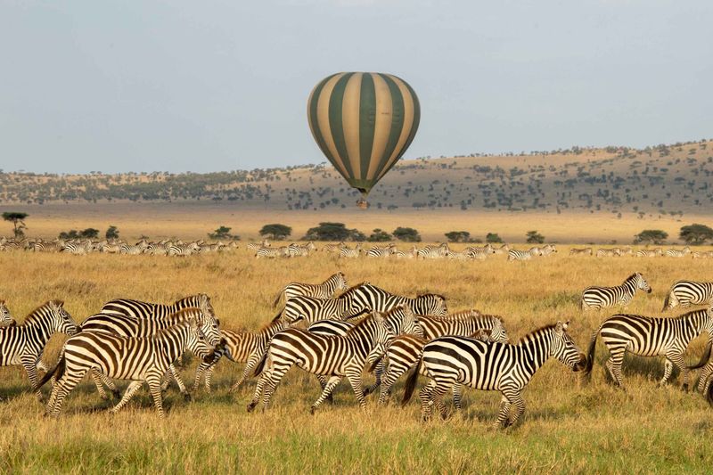 Hot Air Balloon Safari in Serengeti National Park