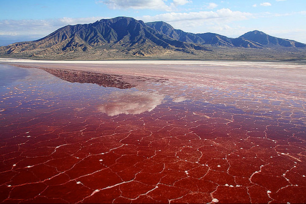 Facts About Lake Natron