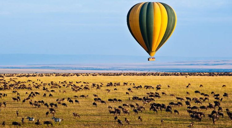Off-The-Beaten-Path Tanzania Safari Packages You Need To Experience In 2023/2024