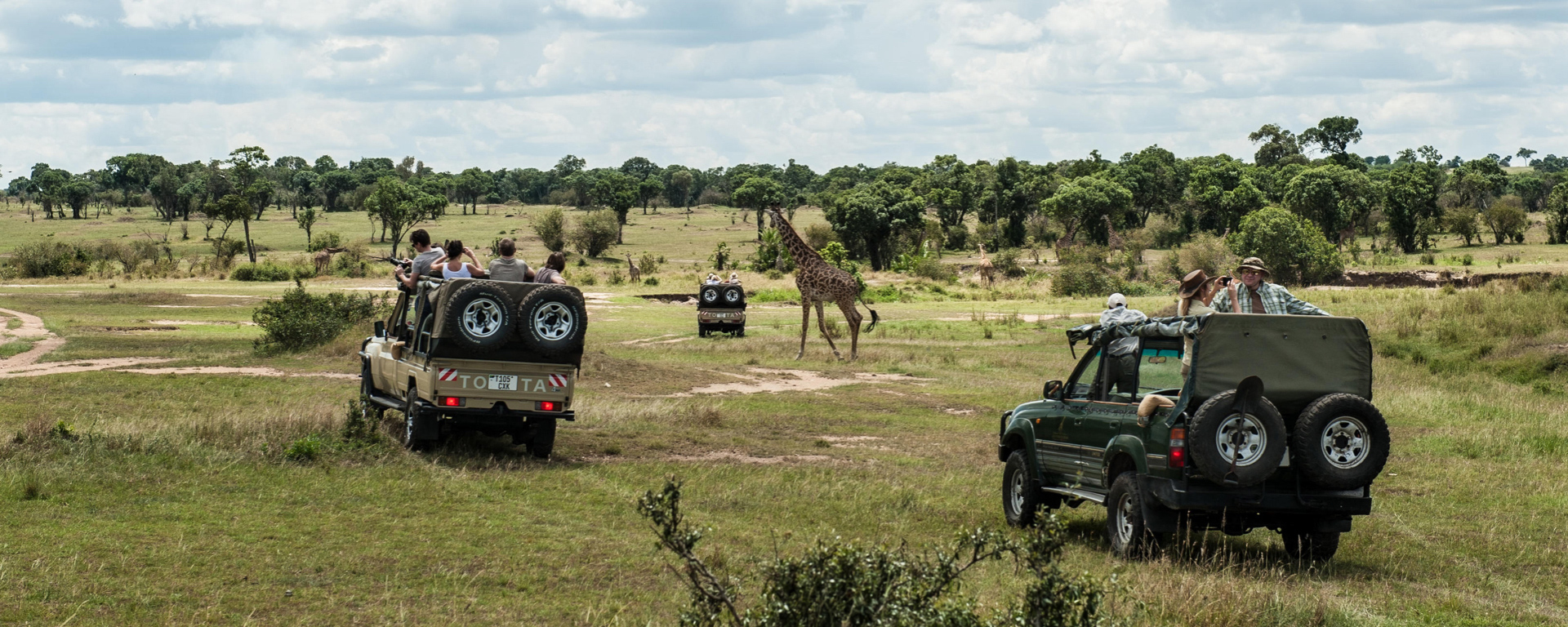 Top 6 Travel Tips For Planning A Last-Minute Safari