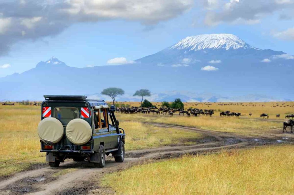 Self Drive Safari in Tanzania