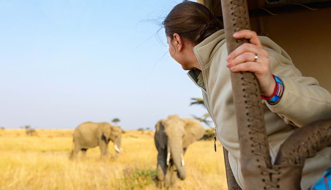 Best Time to go an African Safari