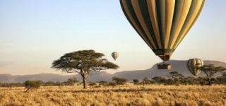 Top 8 Reasons Why You Should Visit Singita Grumeti Reserve