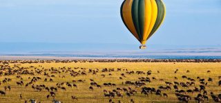 Off-The-Beaten-Path Tanzania Safari Packages You Need To Experience In 2023/2024