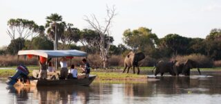 Boat cruise trips in Nyerere National Park